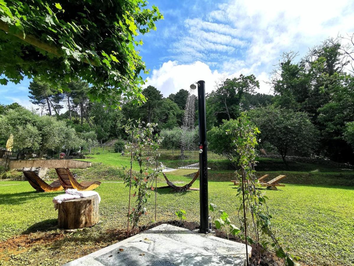 Bed and Breakfast A14 Pietrasanta La Dama del Bosco Exterior foto