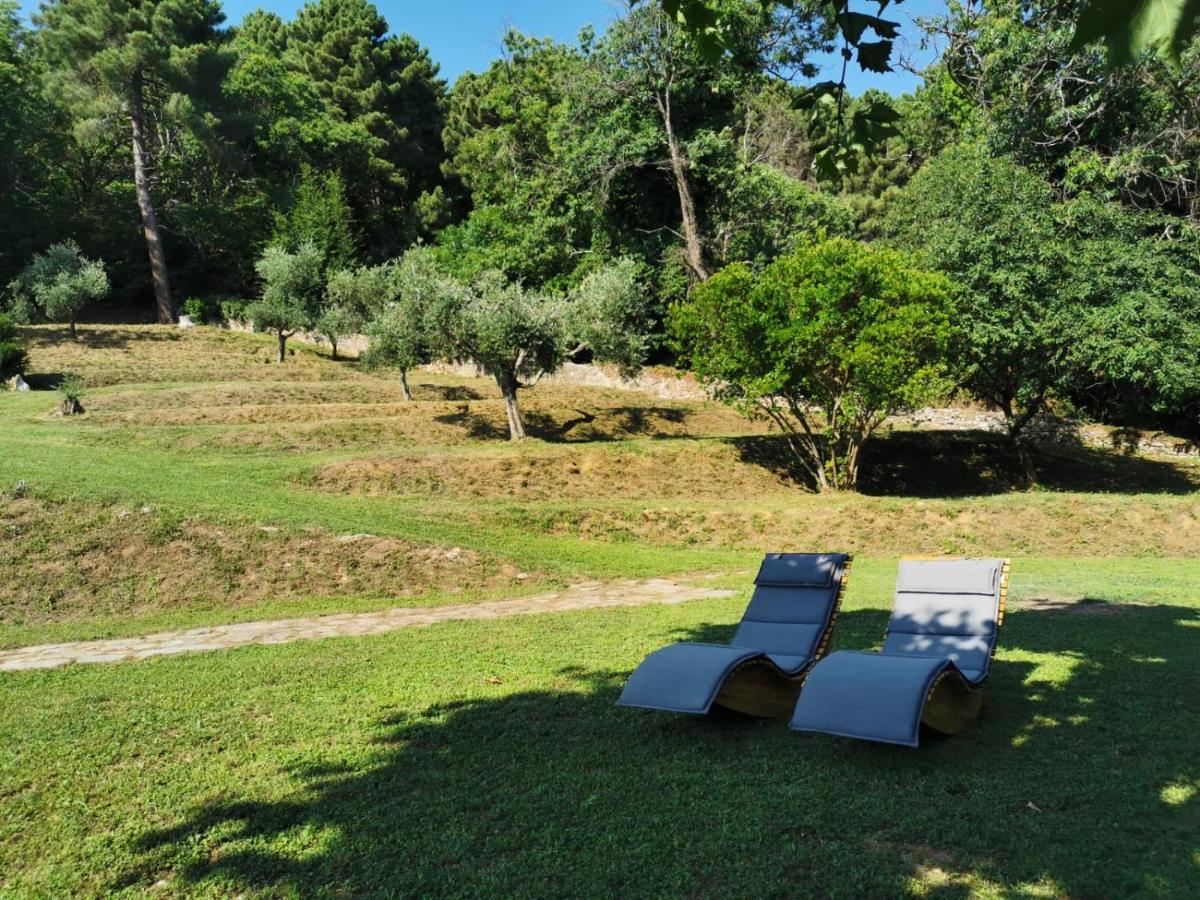 Bed and Breakfast A14 Pietrasanta La Dama del Bosco Exterior foto
