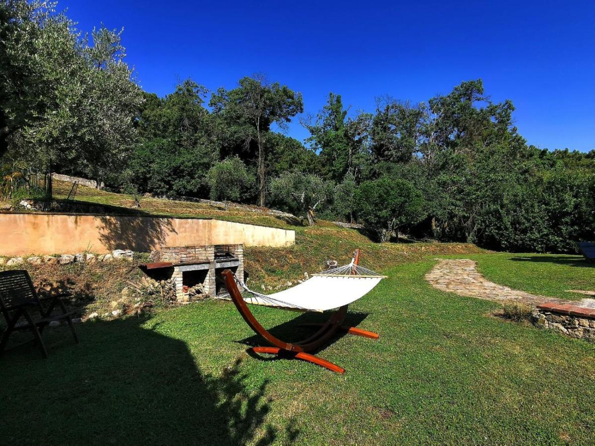 Bed and Breakfast A14 Pietrasanta La Dama del Bosco Exterior foto