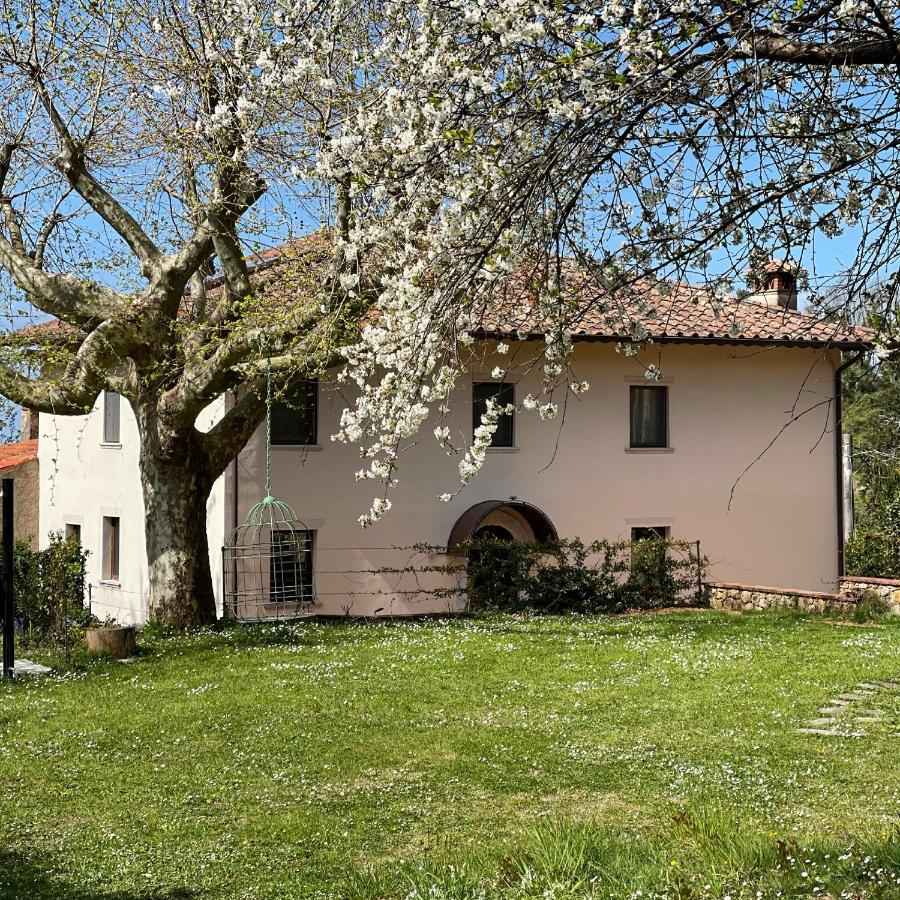 Bed and Breakfast A14 Pietrasanta La Dama del Bosco Exterior foto